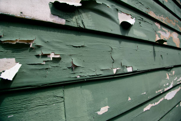 Affordable Siding Repair and Maintenance Services in Minster, OH